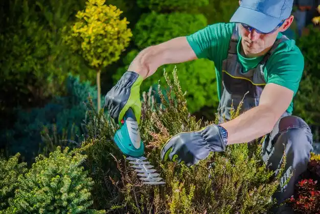 landscaping services Ashville